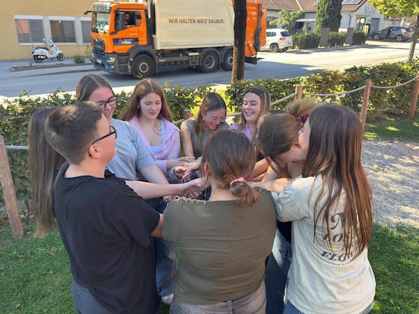 shared image (4).jpeg