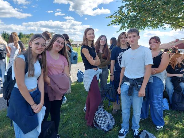 shared image (9).jpeg